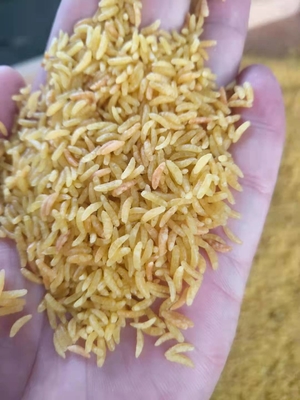 201 τεχνητό ρύζι 304 SS που κατασκευάζει τις ενισχυμένες εγκαταστάσεις 150kg/H μηχανημάτων ρυζιού
